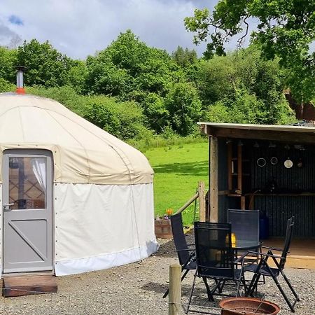 Отель Bronfelen Yurt Cynghordy Экстерьер фото