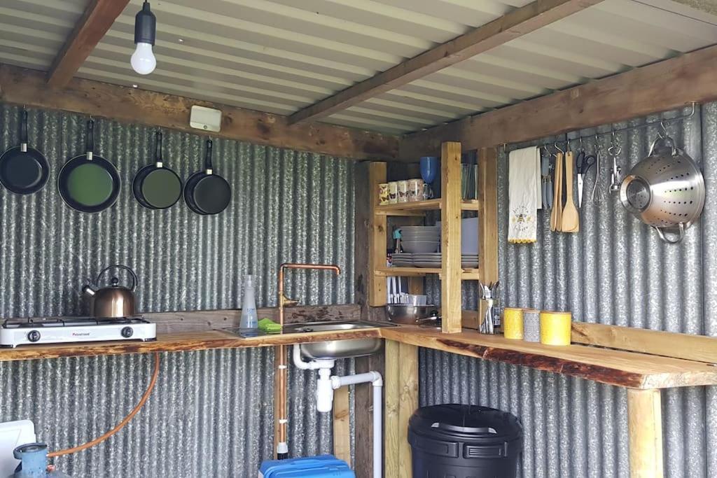 Отель Bronfelen Yurt Cynghordy Экстерьер фото