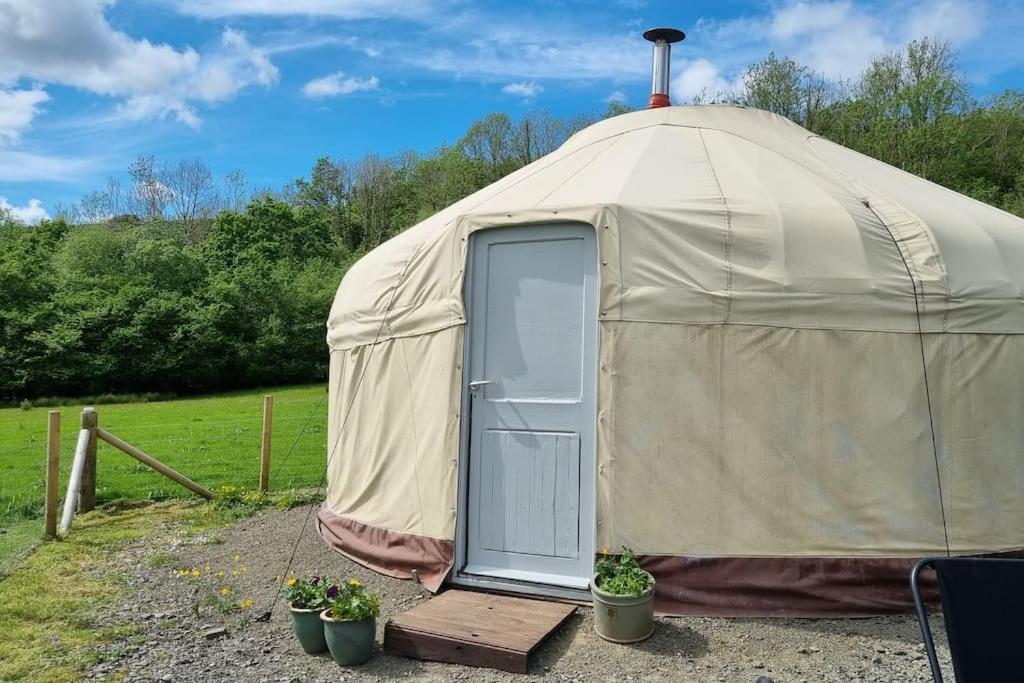 Отель Bronfelen Yurt Cynghordy Экстерьер фото