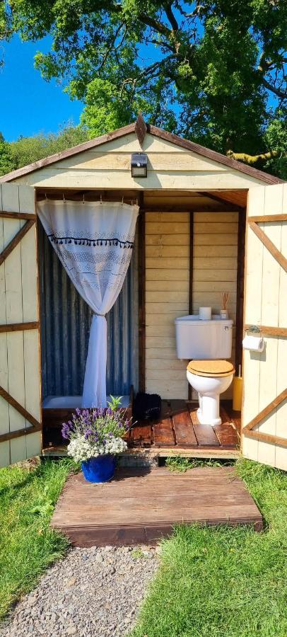 Отель Bronfelen Yurt Cynghordy Экстерьер фото